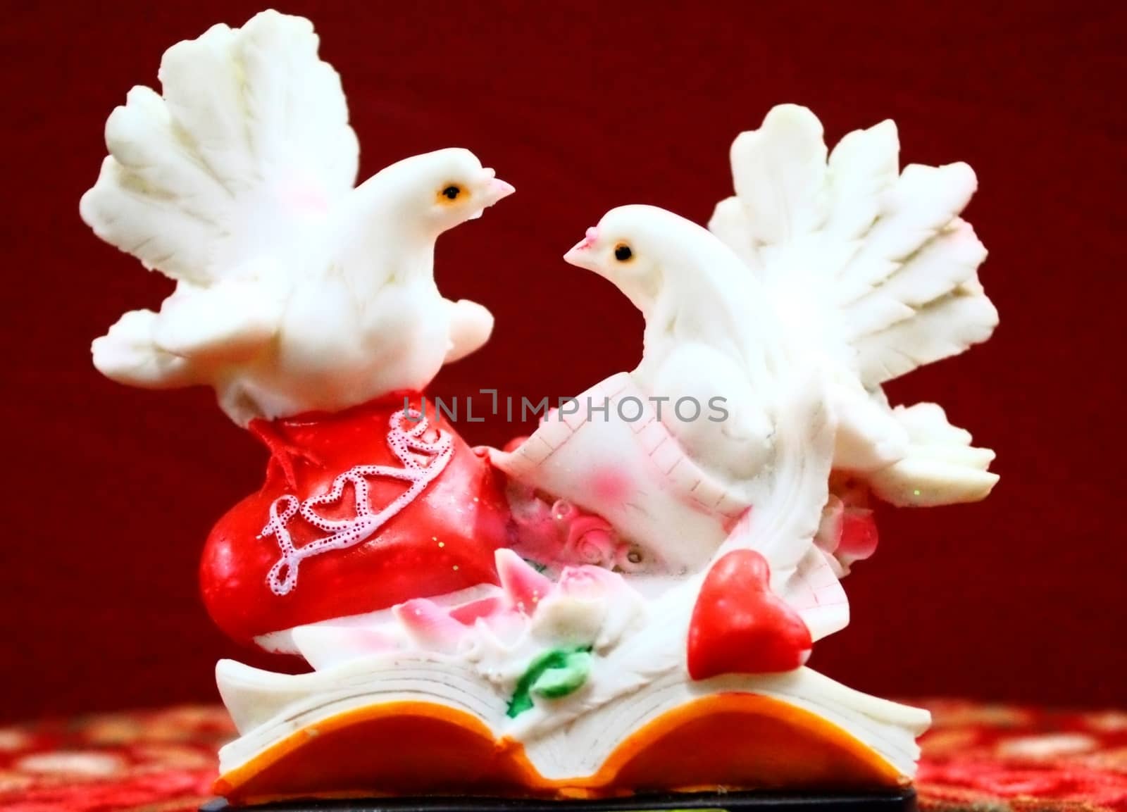 art of beautiful pigeon of couple