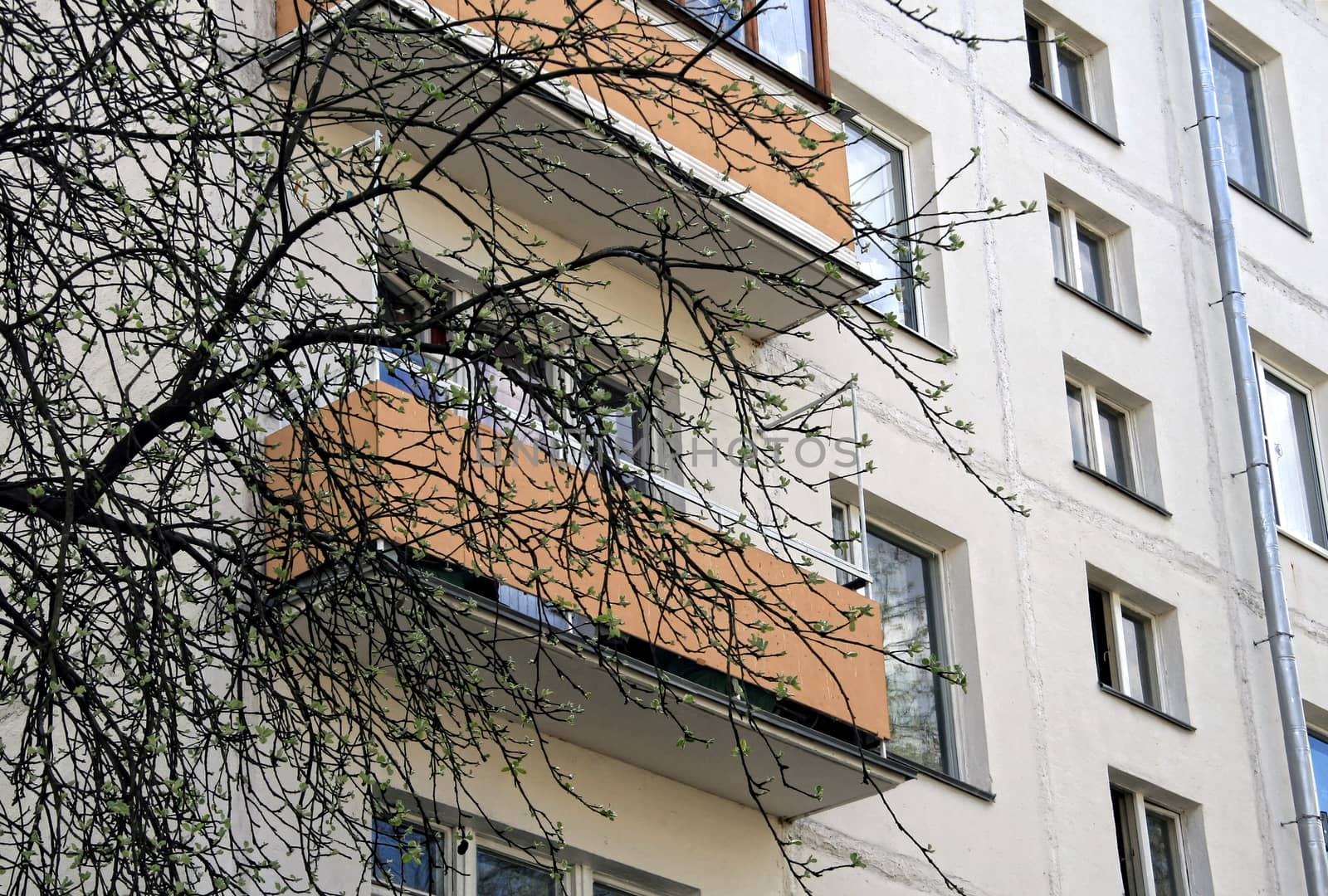 Fragment of the facade of an ordinary urban house on a background of spring tree branches. View from below. Spring city landscape.