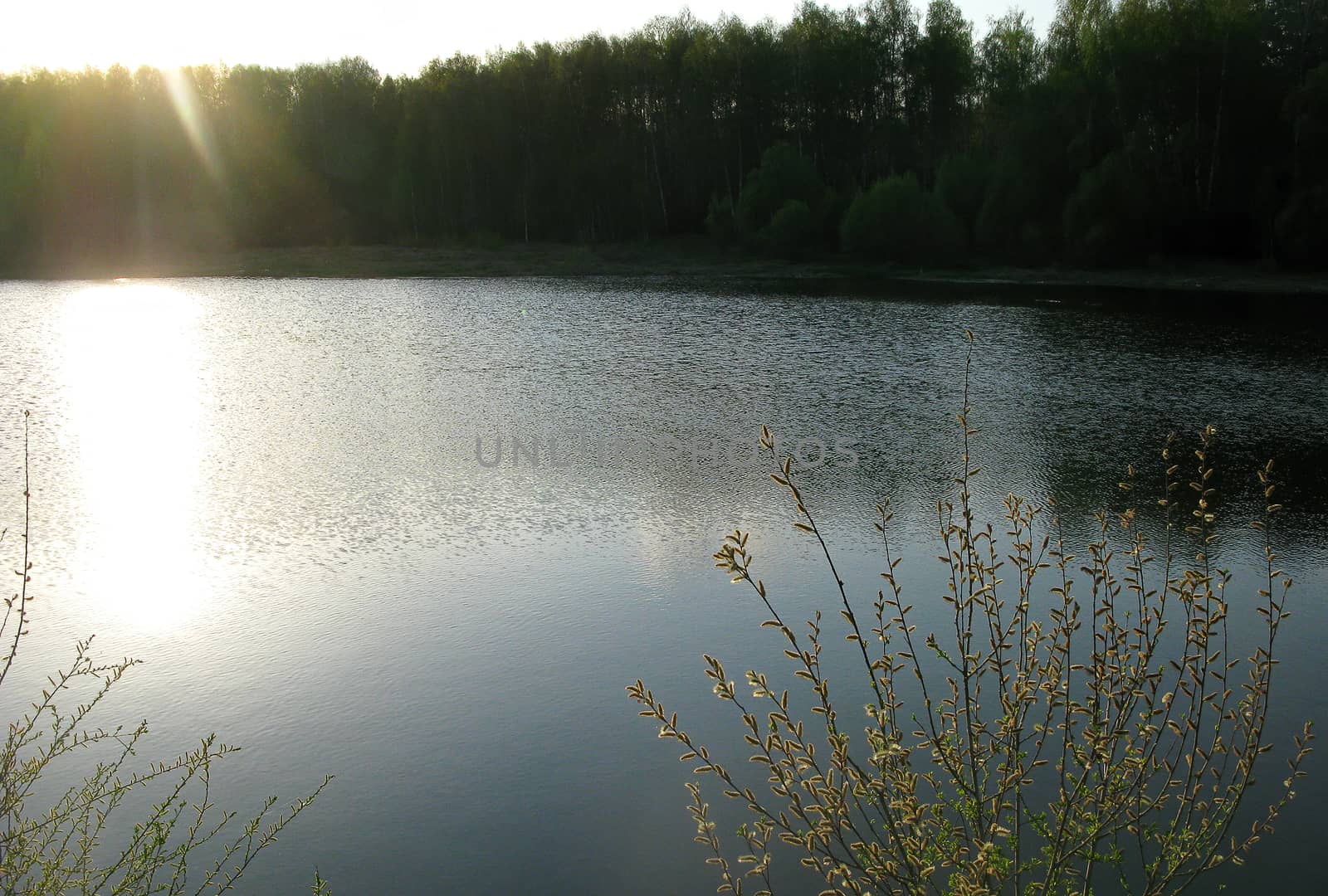 Fresh green spring nature. Young leaves appear on tree branches. Trekking on a warm April day.