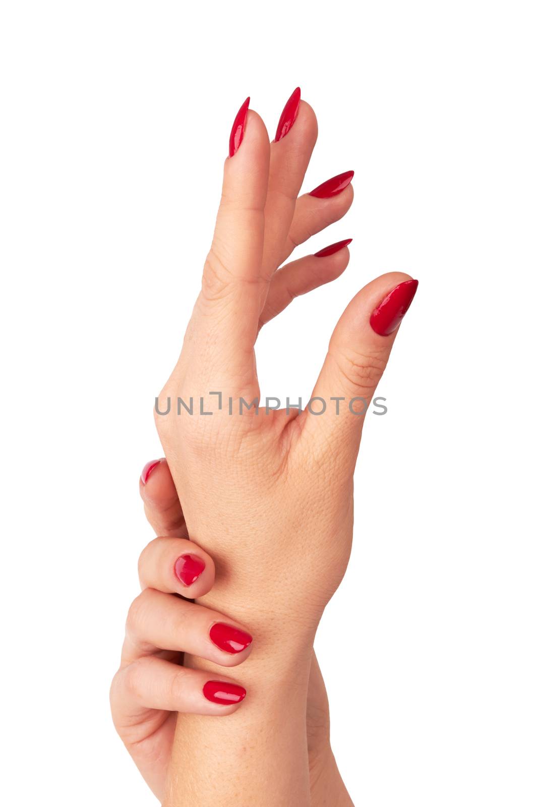 hands of a young woman with long red manicure isolated on white