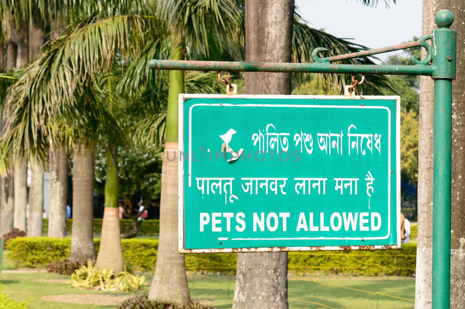 Pets Not Allowed Sign Board On park garden. No pets allowed sign board. permission concept background. by sudiptabhowmick