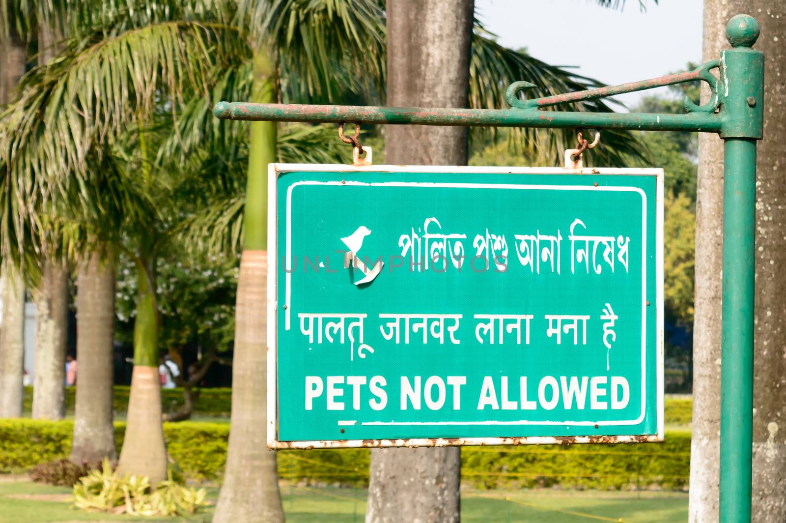 Pets Not Allowed Sign Board On park garden. No pets allowed sign board. permission concept background. by sudiptabhowmick