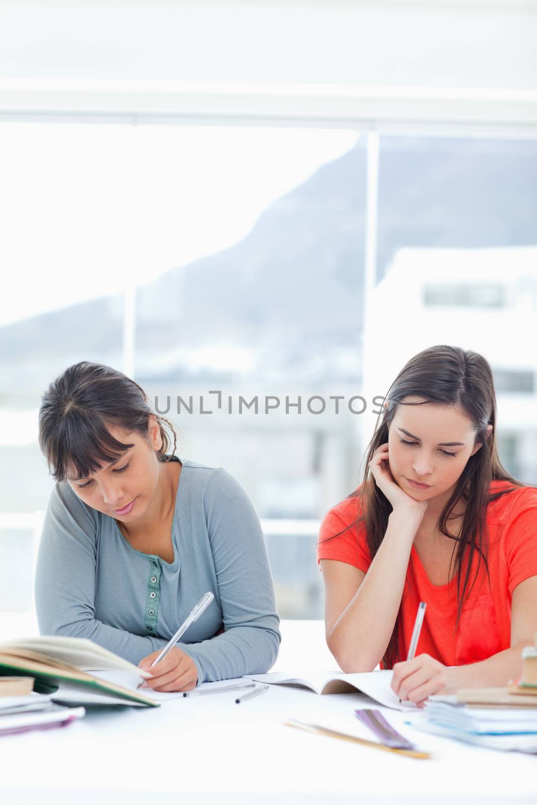 A pair of concentrating women doing homework together by Wavebreakmedia