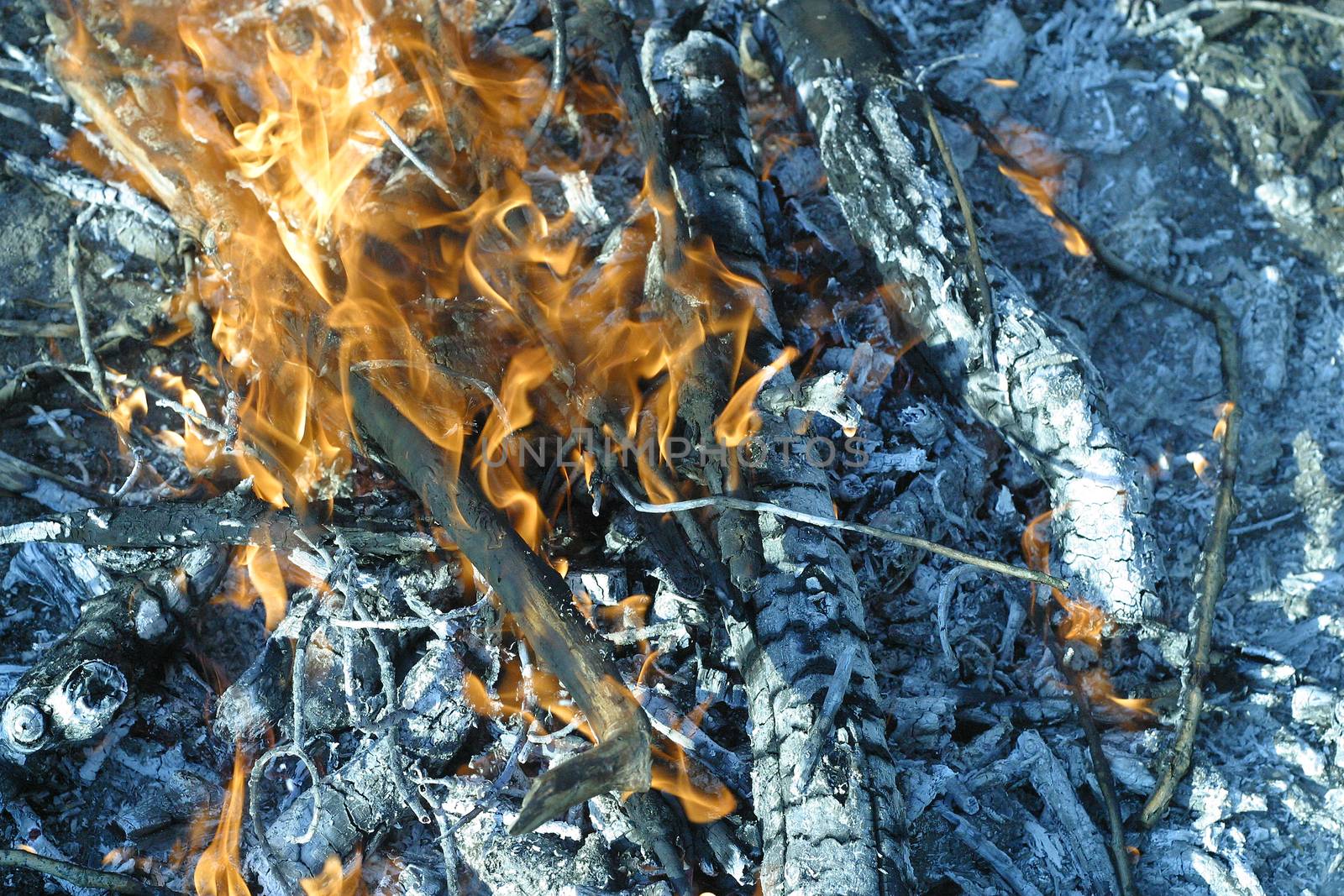 Fire and ash. Campfire in summer