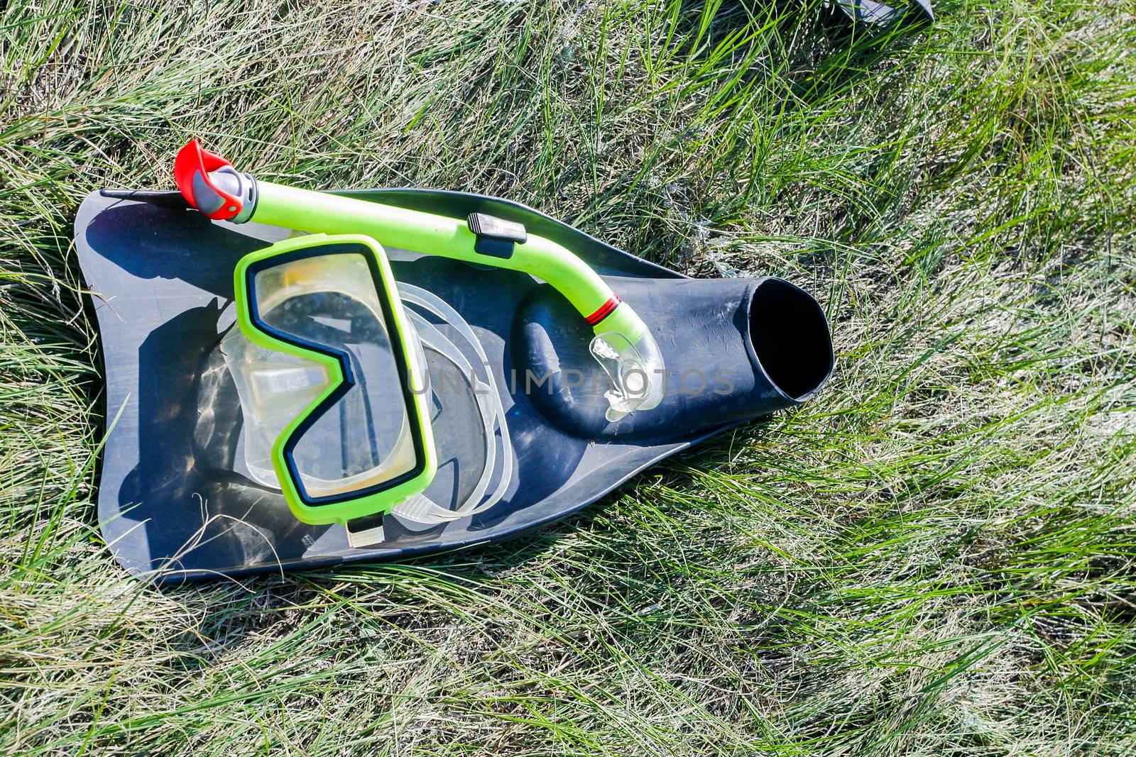 underwater mask, snorkel, and flippers lying on the grass. diver equipment