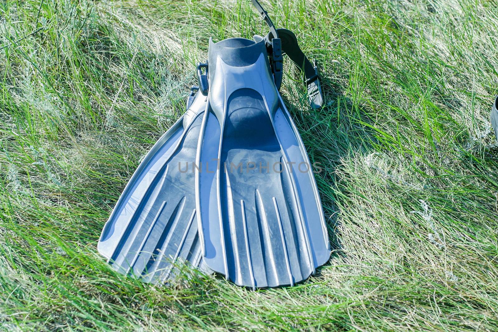 Flippers for underwater swimming lying on the grass ready to use