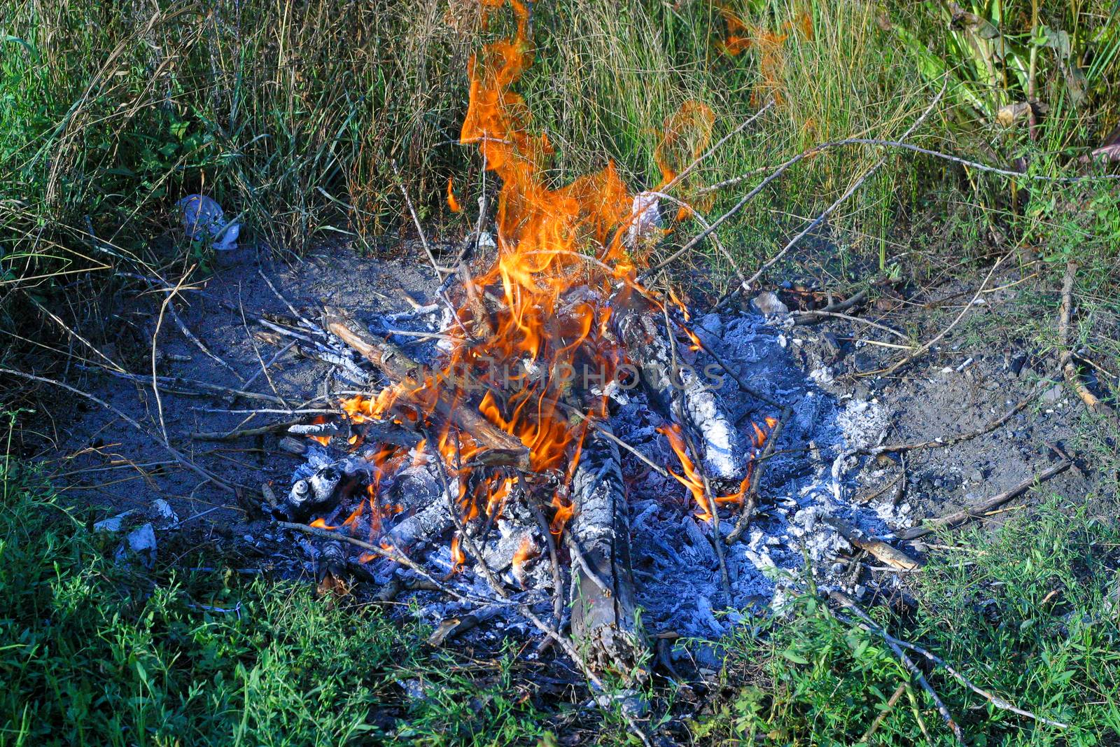 Campfire on a grass in summer day