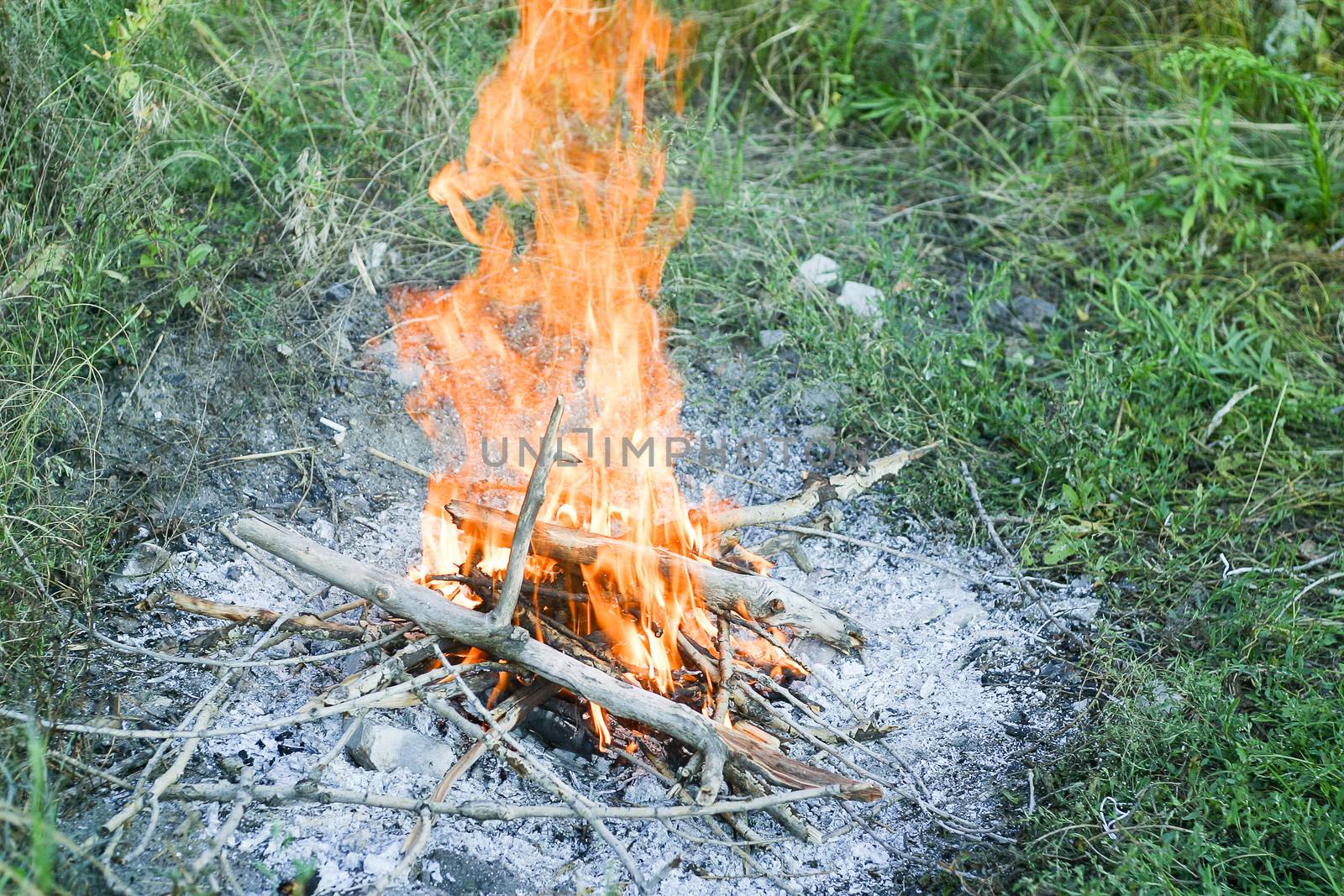 Campfire on a grass in summer day