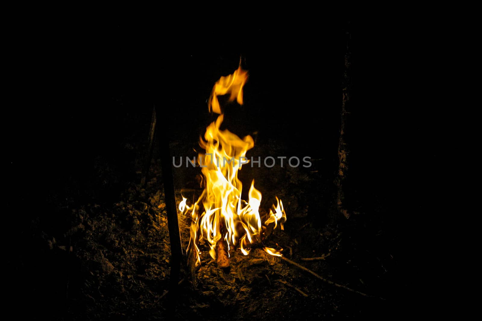 Fire flames in the dark image of a campfire at night isolated on the black background