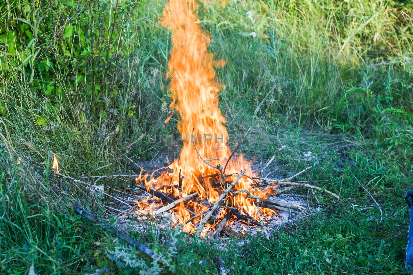 Campfire on the grass in the forest on a summer day. environment and nature