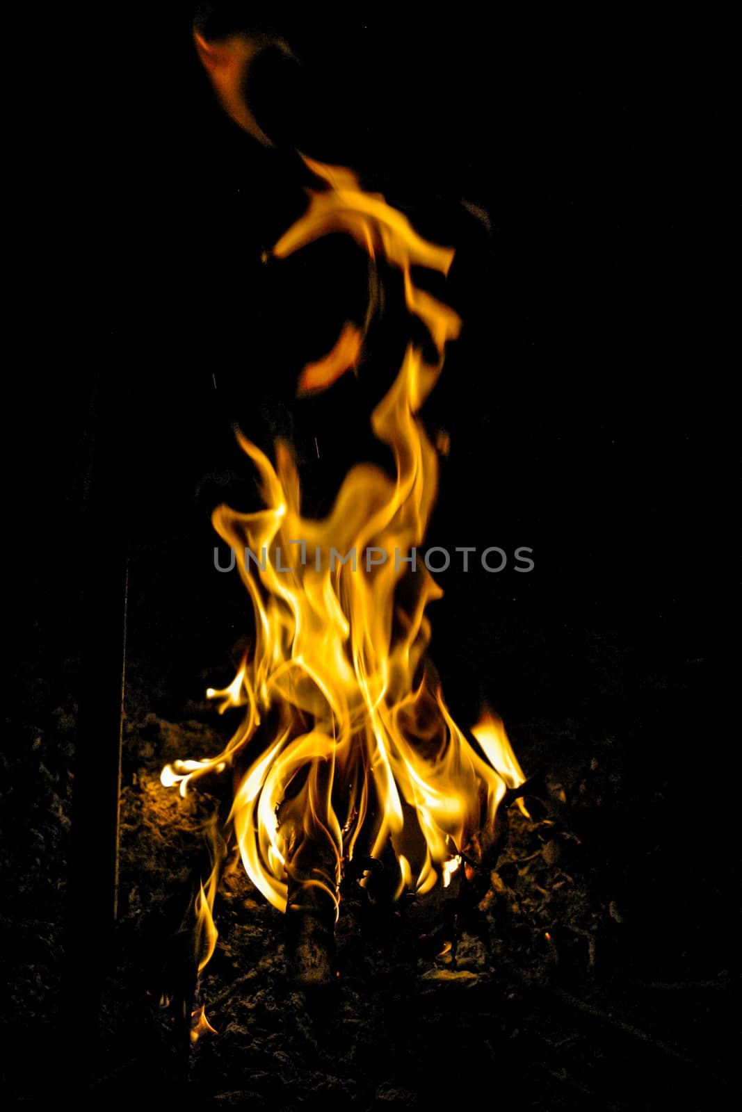 Fire flames in the dark image of a campfire at night isolated on the black background