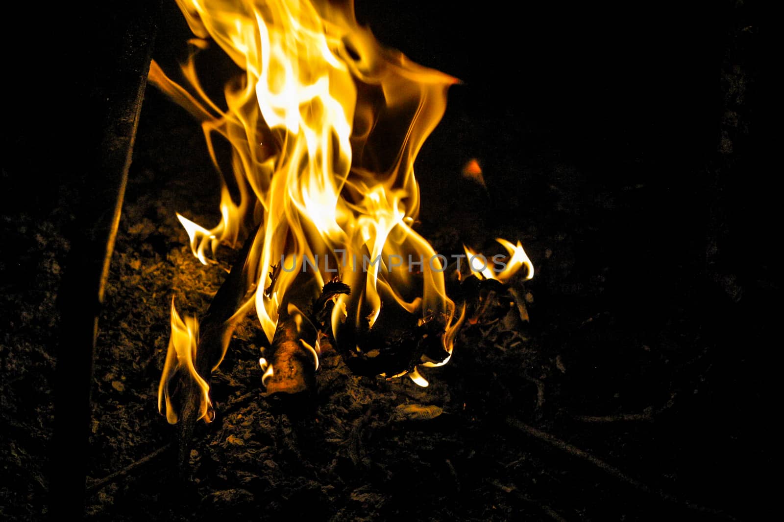 Fire flames in the dark image of a campfire at night isolated on the black background