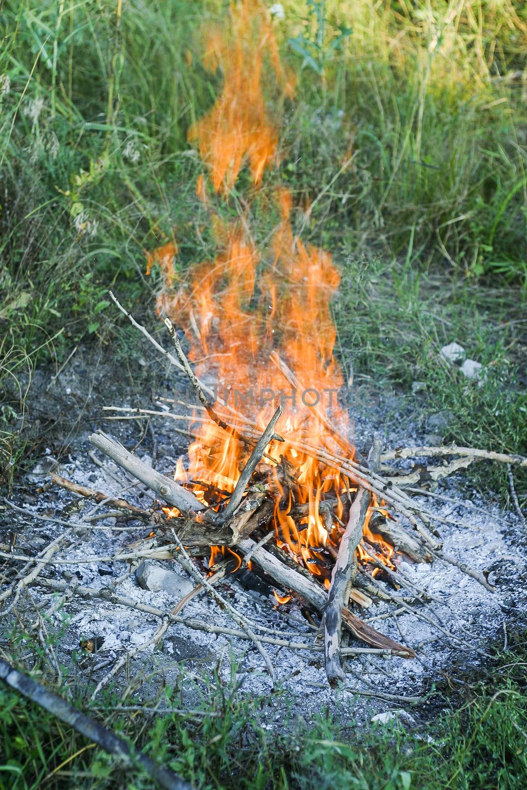 Campfire prepared for barbecue in a forest