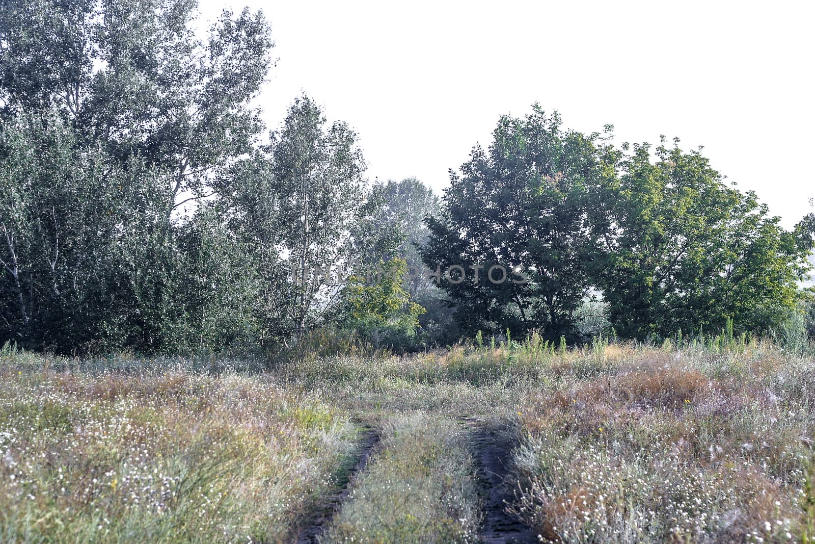 Countryside road, a rural locality in Eastern Europe nature