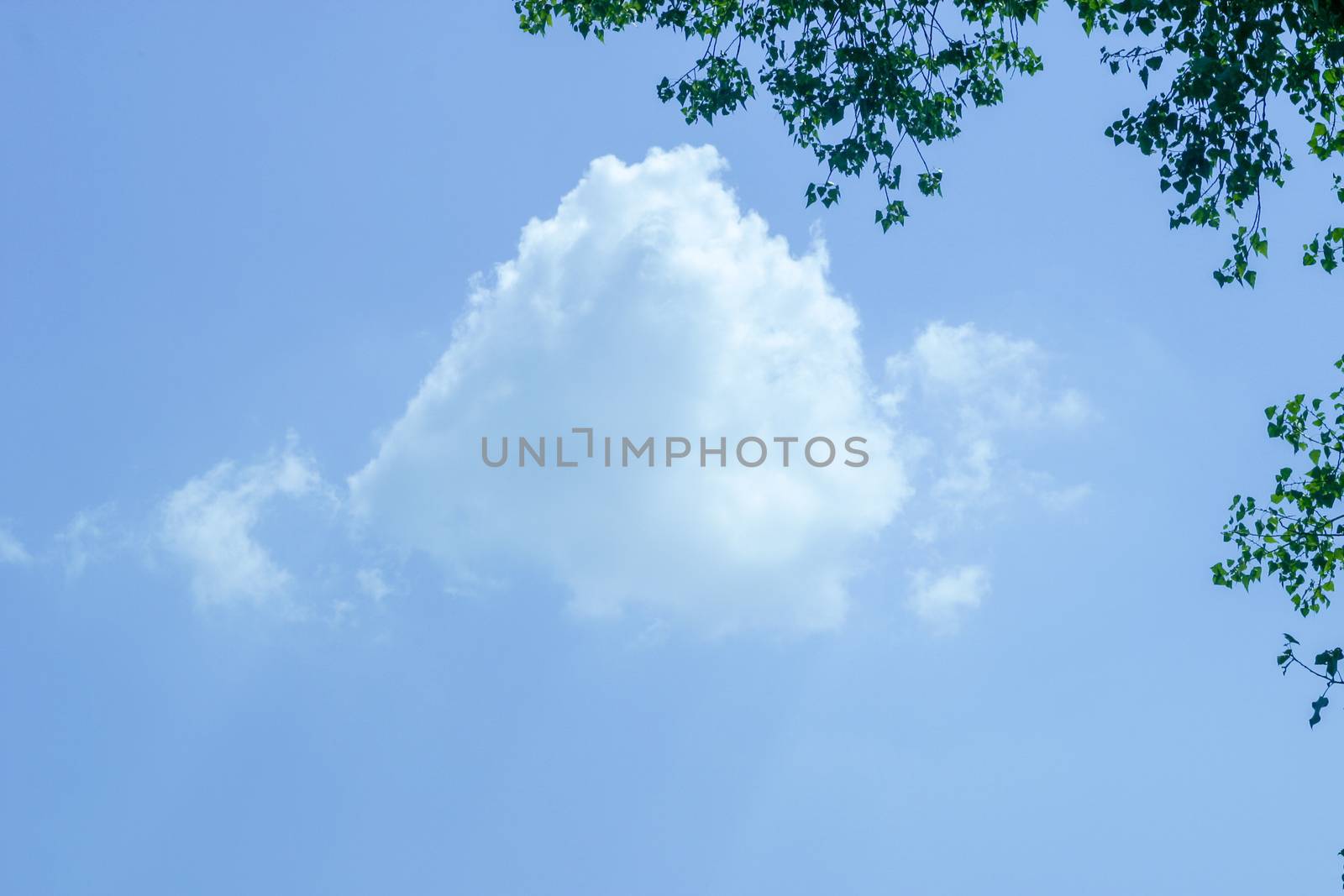 Clouds in the dark sky. The photo can be used for weather forecast