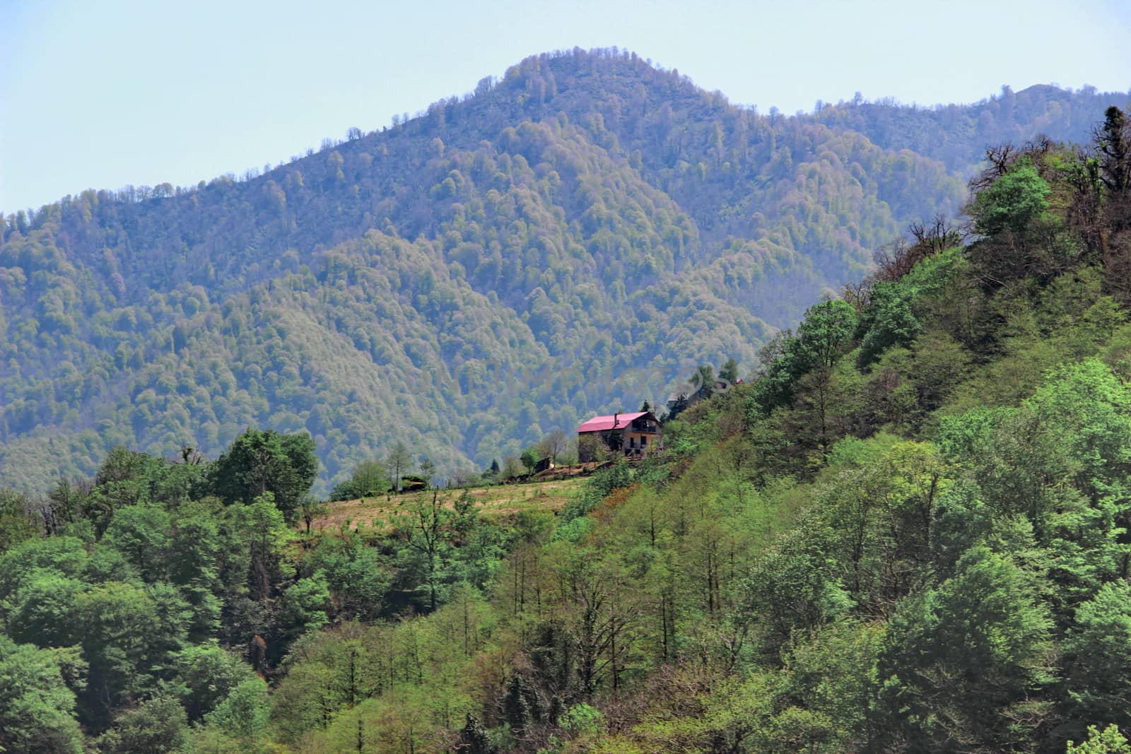 Photo of lonely house in the mountains of Georgia, Adjara, spring