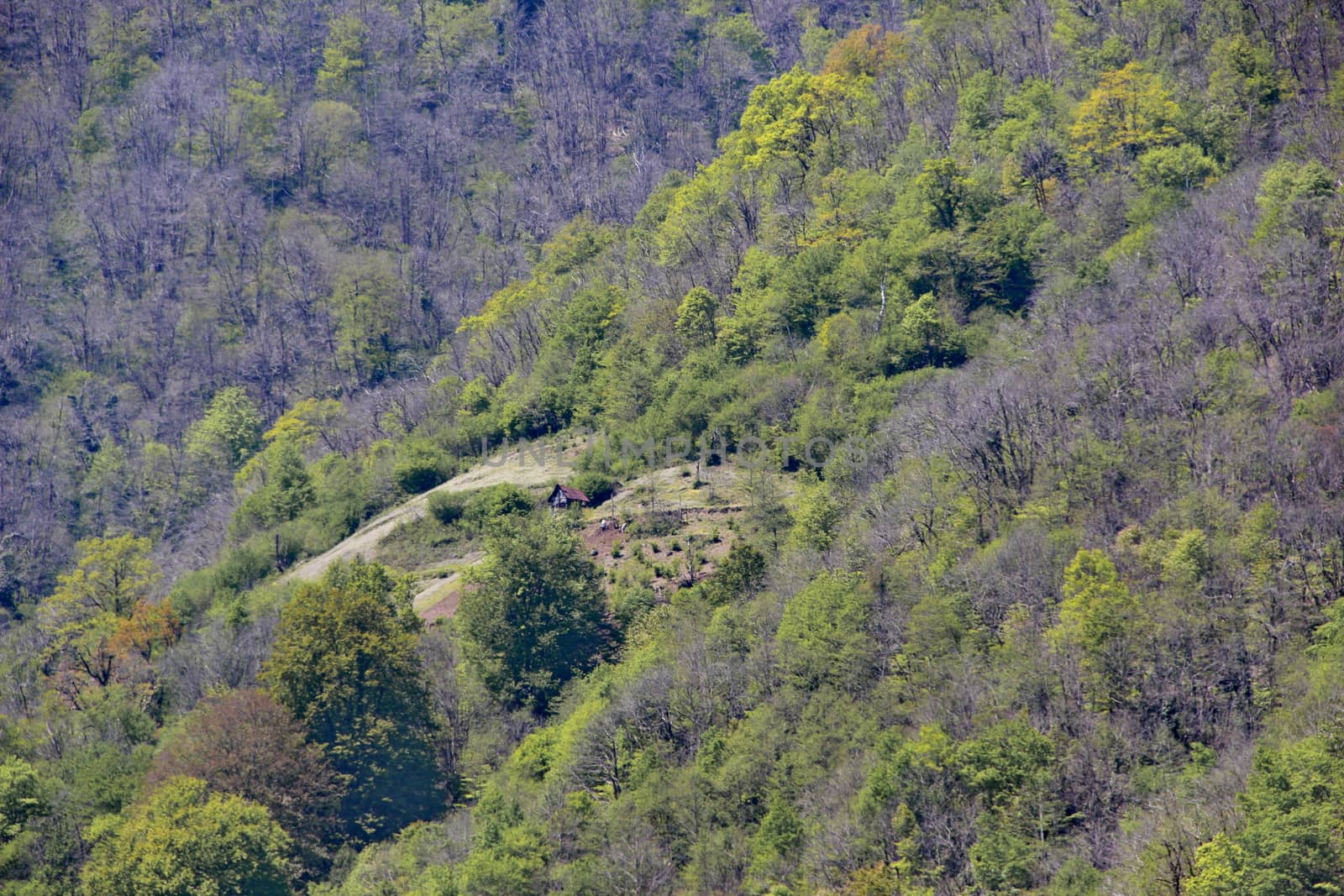 Photo of lonely house in the mountains of Georgia, Adjara, spring