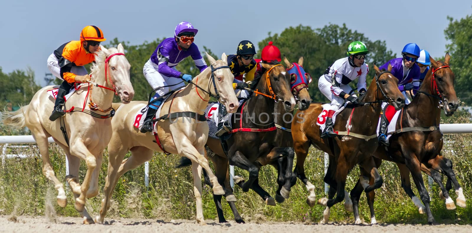 Horse race in Pyatigorsk. by marlen