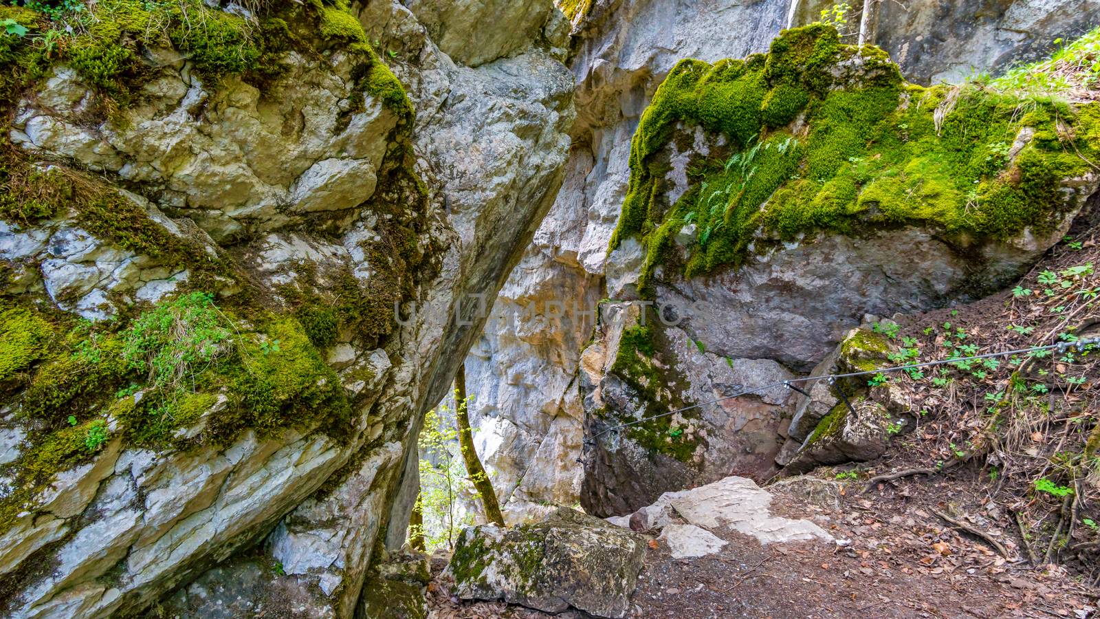 The Starzlachklamm, a beautiful gorge at the foot of the Grunten near Sonfhofen, Immenstadt im Allgau