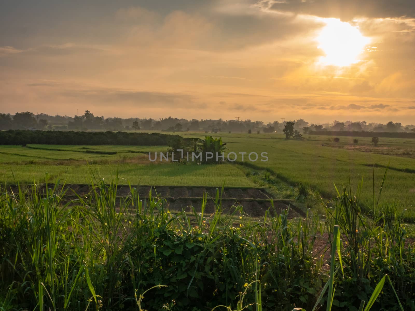 The sun shining over green fields and gently rolling hills. by wittaya