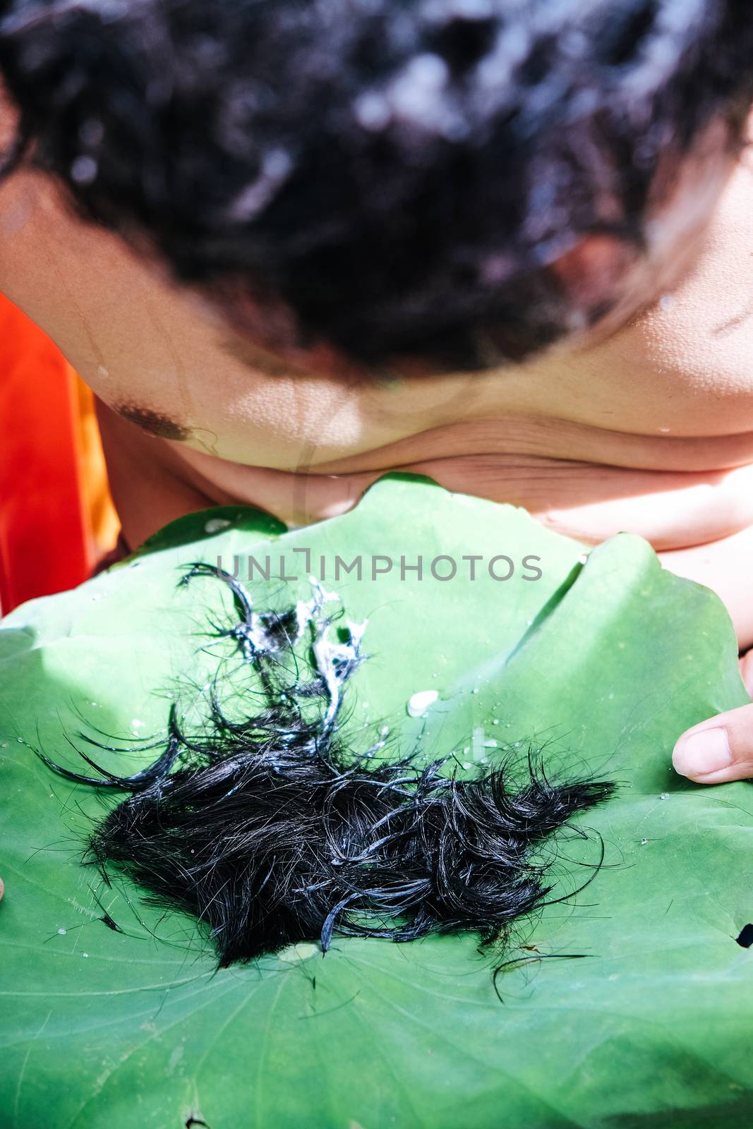 shaving the hair, Ordination Ceremony of Buddhist monk