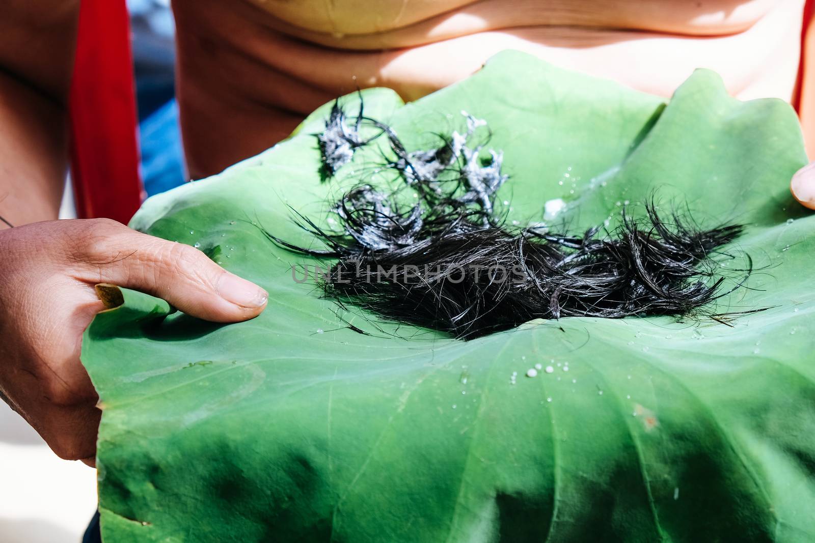 shaving the hair, Ordination Ceremony of Buddhist monk