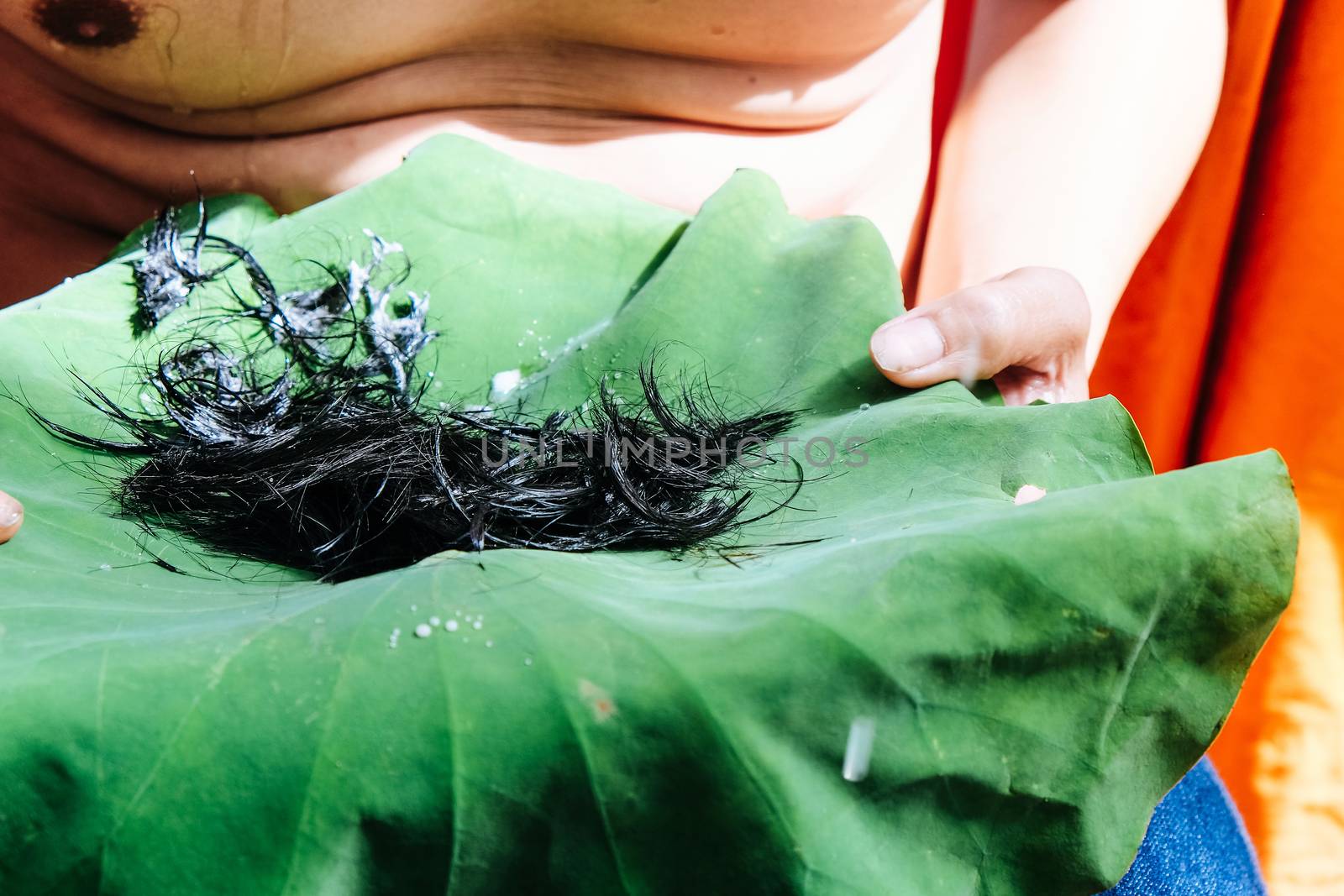 shaving the hair, Ordination Ceremony of Buddhist monk