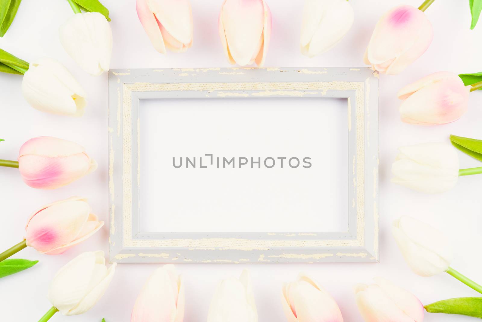 Happy Women's Day, Mother's Day and Valentine's Day concept. top view flat lay Tulip flower and photo frame on white background, copy space for your text