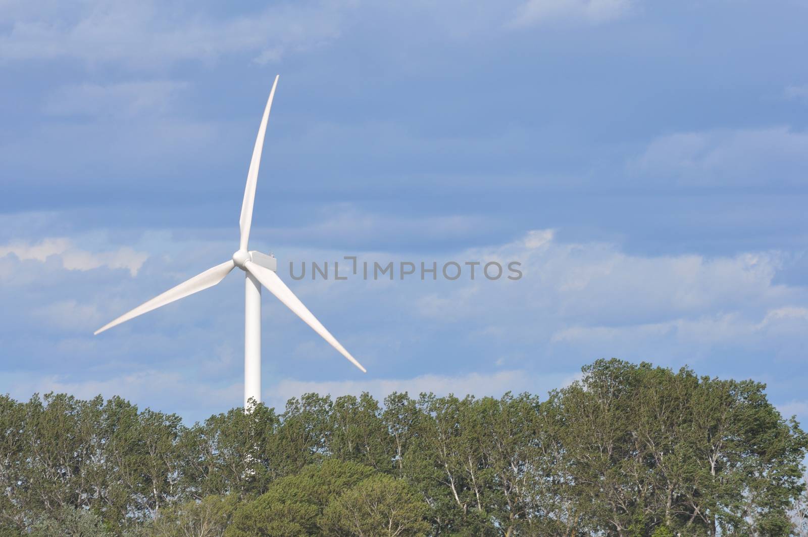 landscape filled with wind turbine in the Camargue, France. new energies
