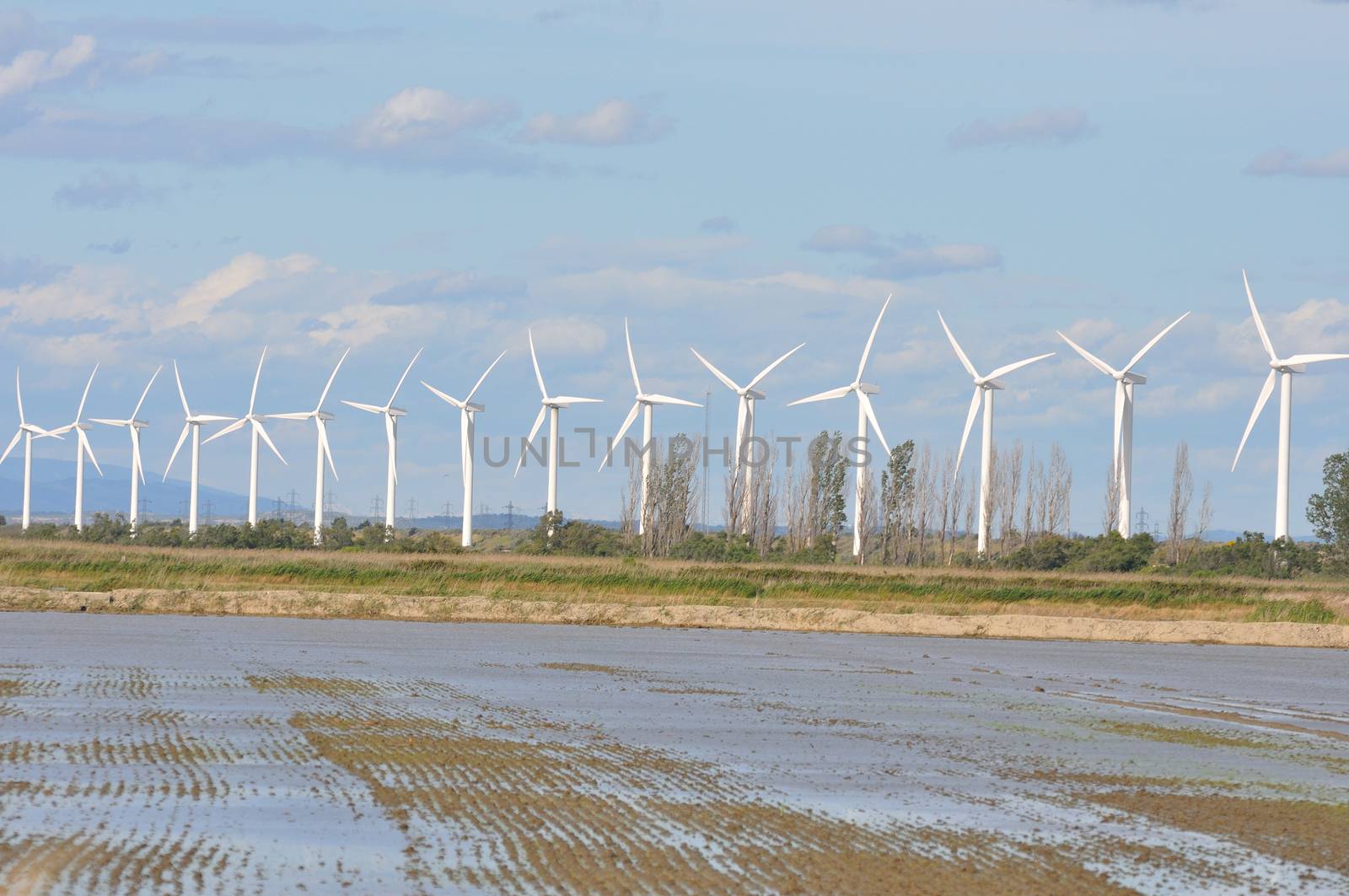 landscape filled with wind turbine in the Camargue, France. new energies