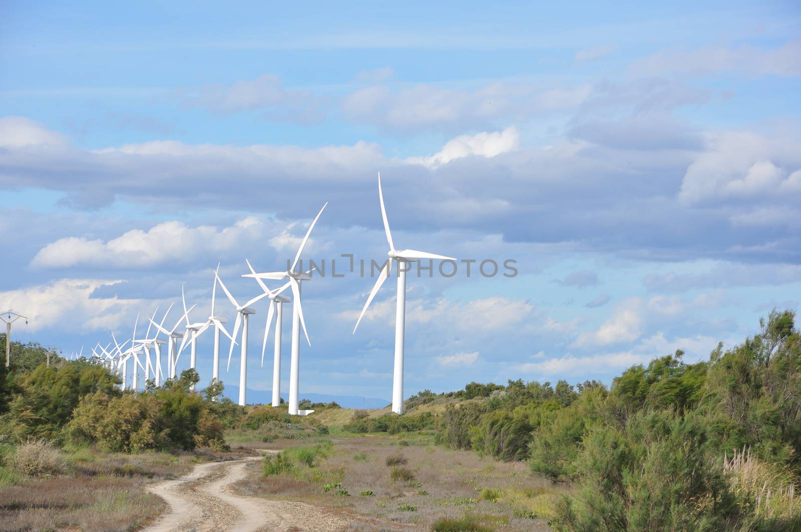 landscape filled with wind turbine in the Camargue, France. new energies