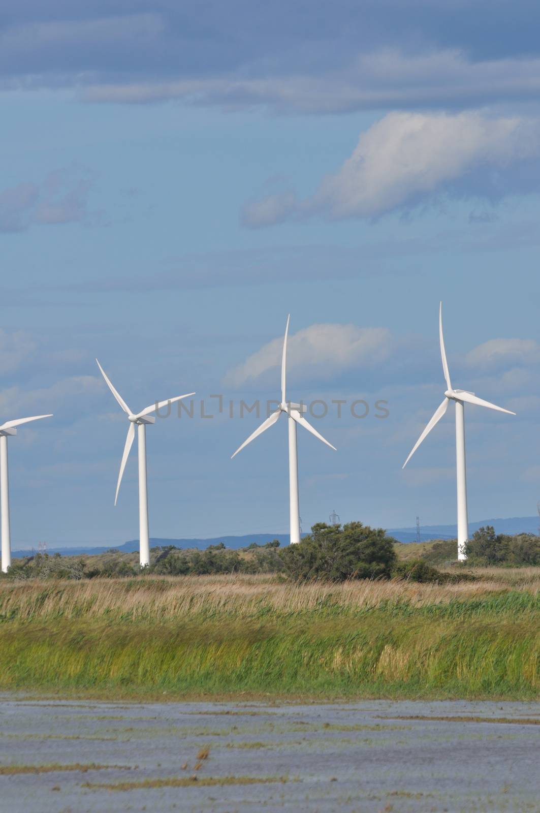 landscape filled with wind turbine in the Camargue, France. new energies