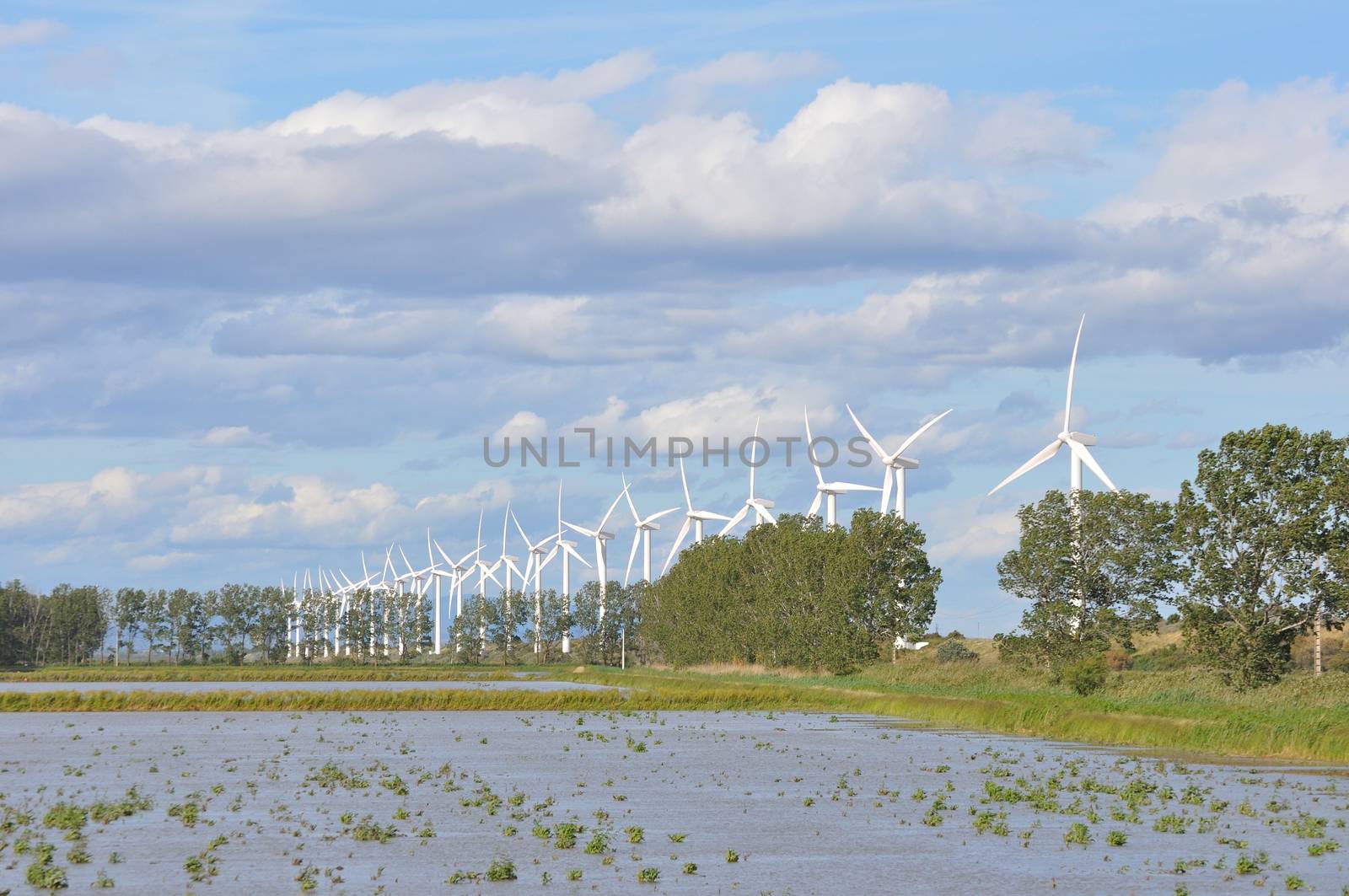 landscape filled with wind turbine in the Camargue, France. new energies