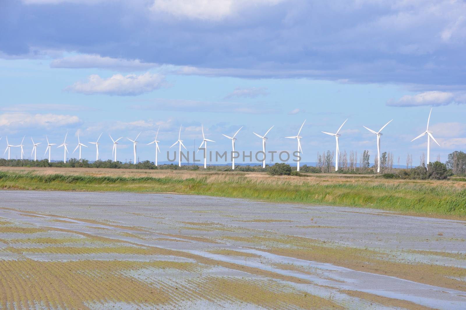 landscape filled with wind turbine in the Camargue, France. new energies