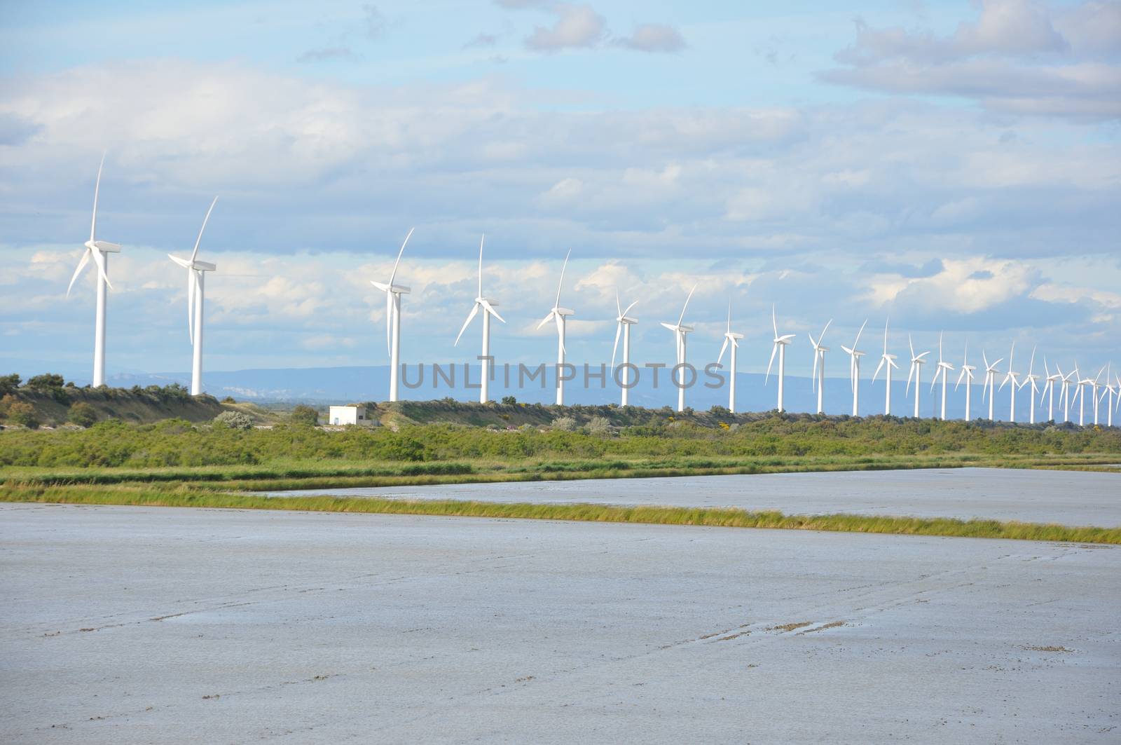 landscape filled with wind turbine in the Camargue, France. new energies