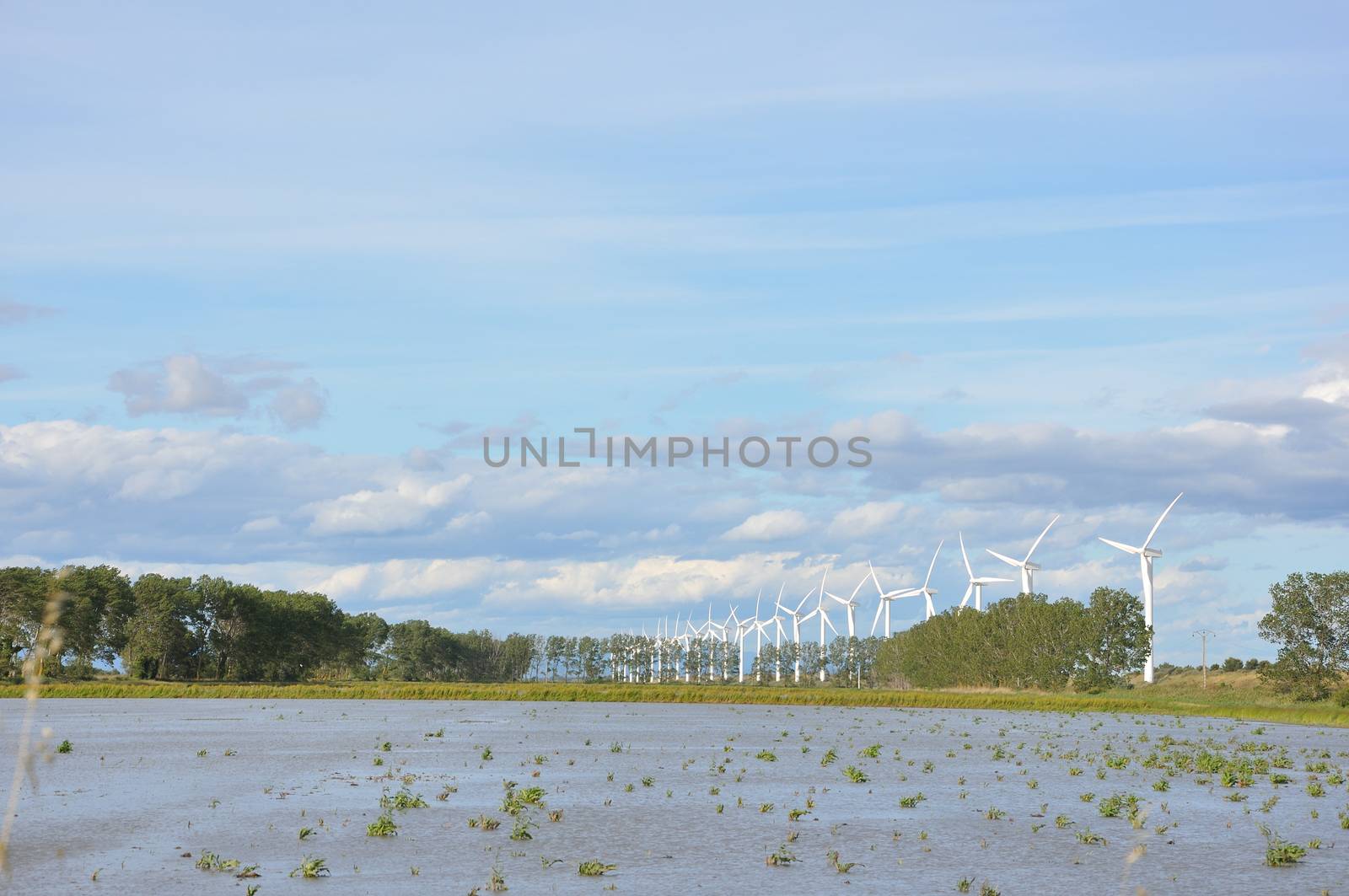 landscape filled with wind turbine in the Camargue, France. new energies