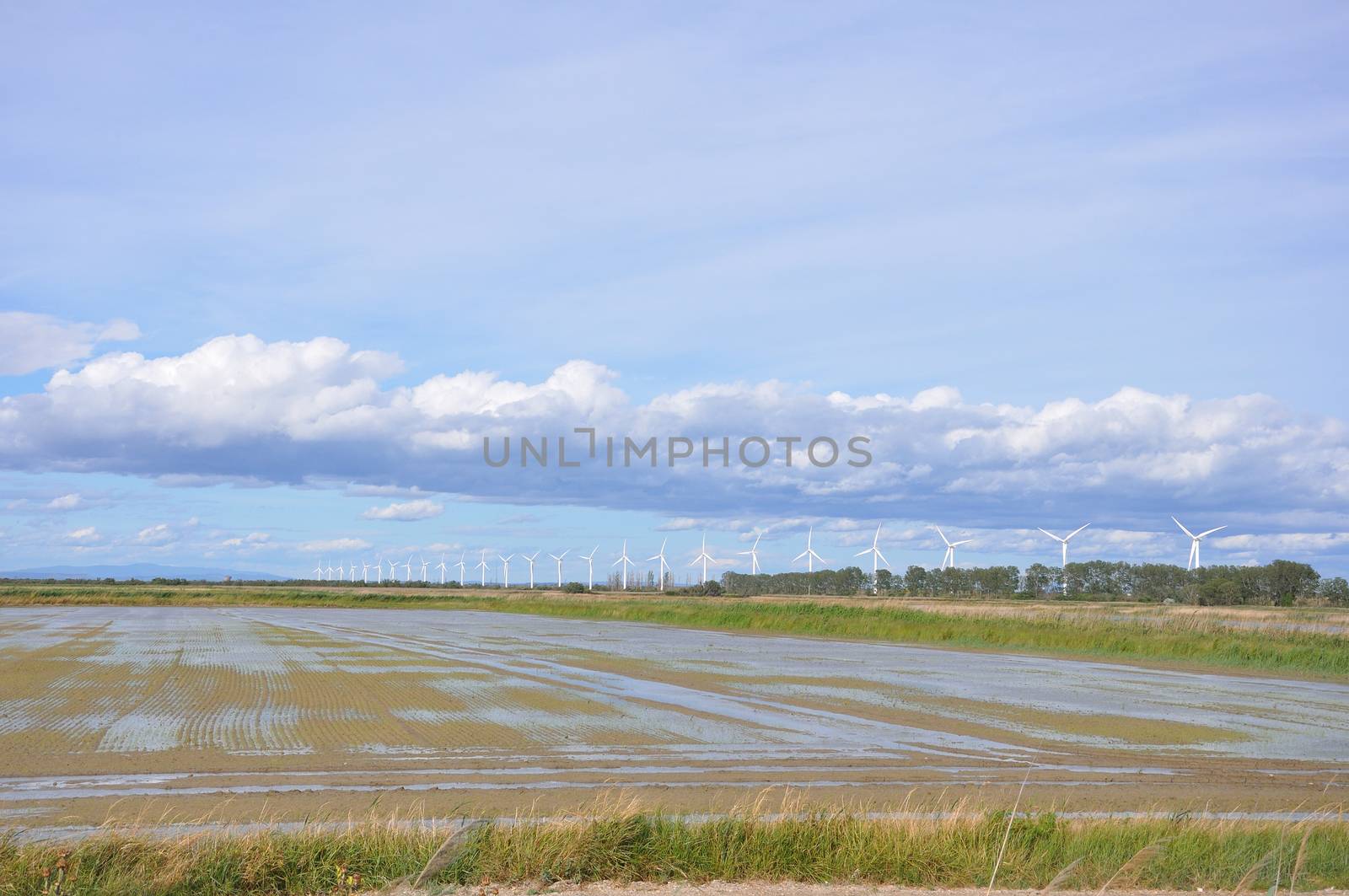 landscape filled with wind turbine in the Camargue, France. new energies