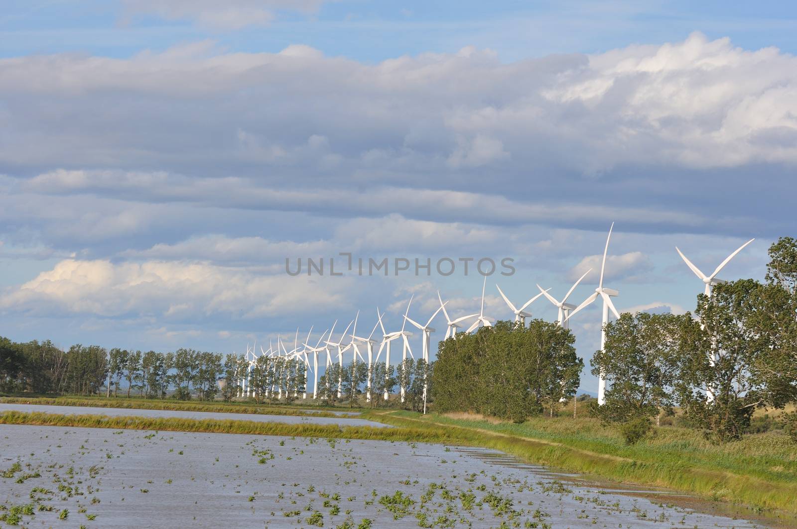 landscape filled with wind turbine in the Camargue, France. new energies