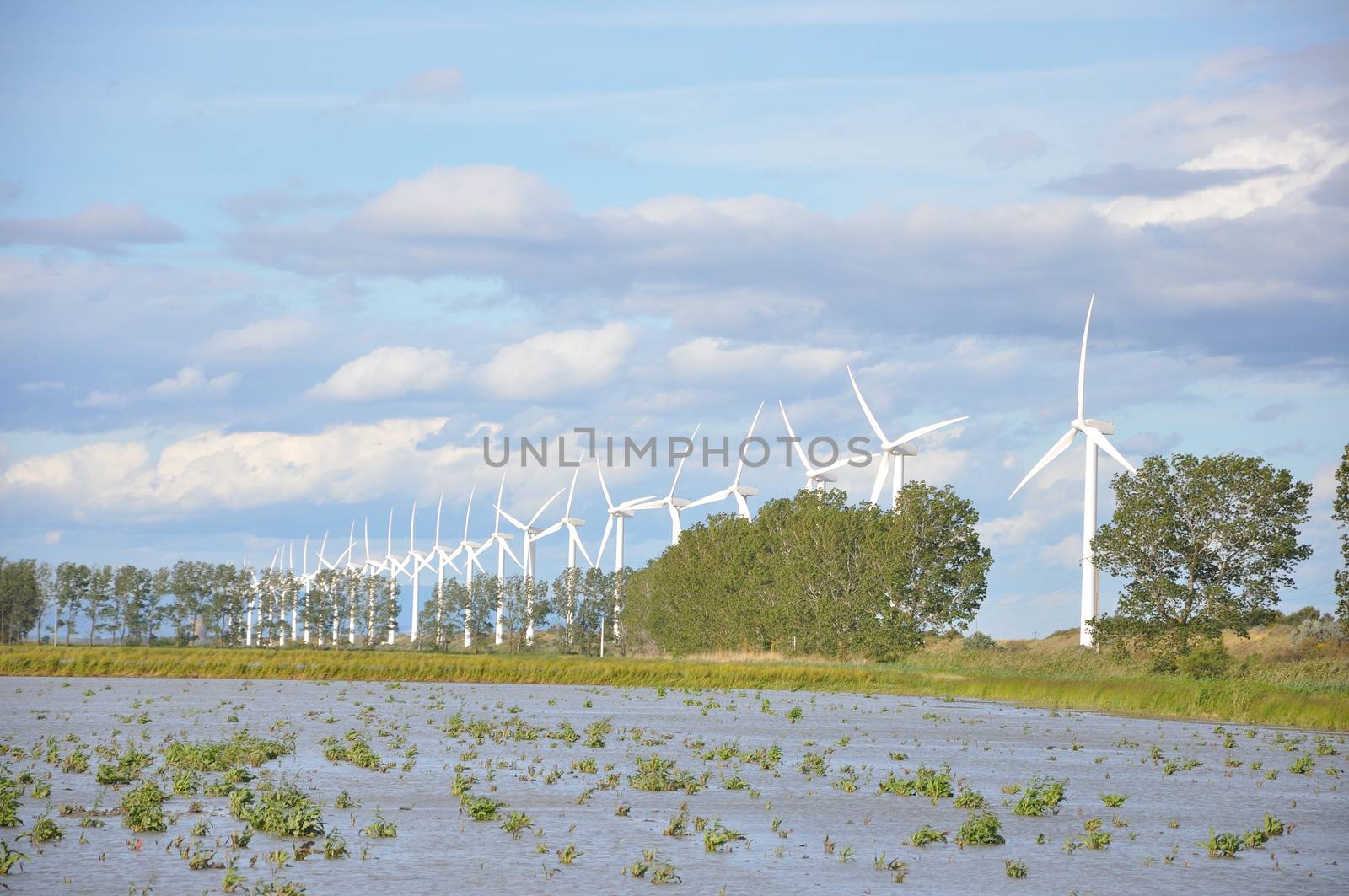 landscape filled with wind turbine in the Camargue, France. new energies