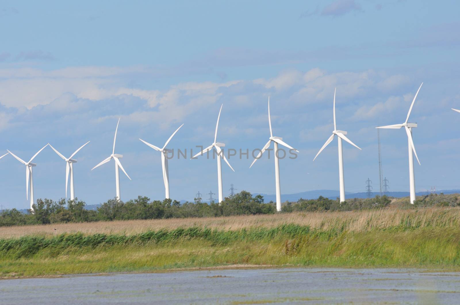 landscape filled with wind turbine in the Camargue, France. new energies