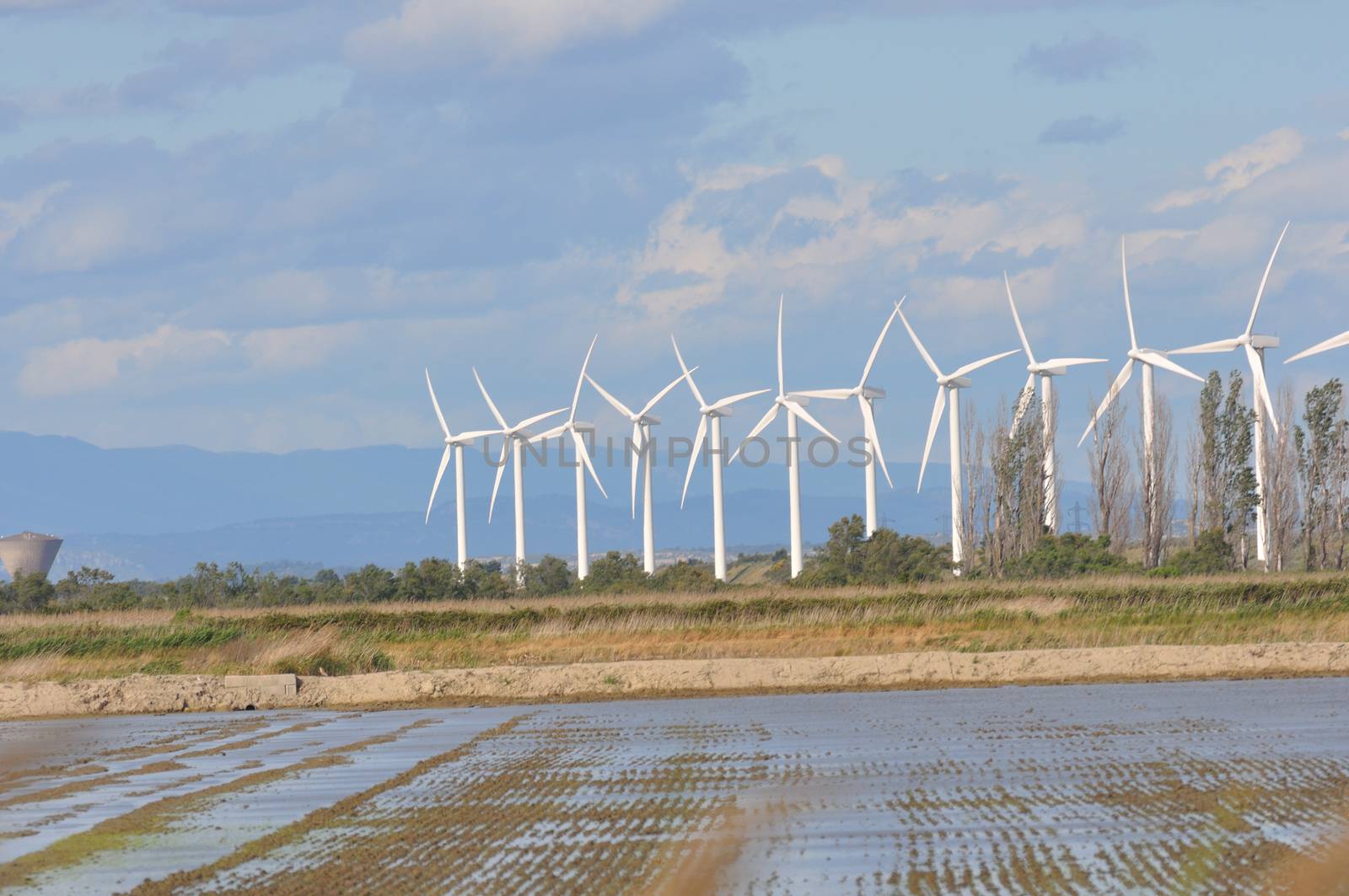 landscape filled with wind turbine in the Camargue, France. new energies