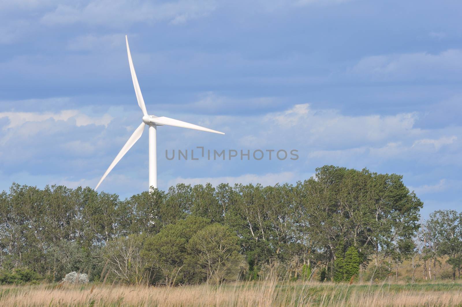 landscape filled with wind turbine in the Camargue, France. new energies