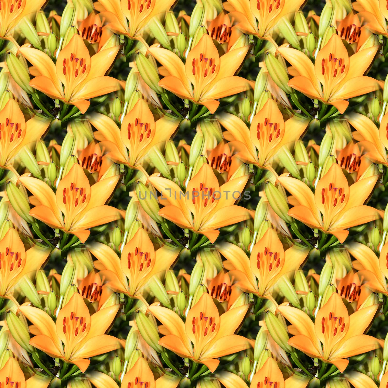 Seamless abstract springtime, summer natural background of blooming lilies