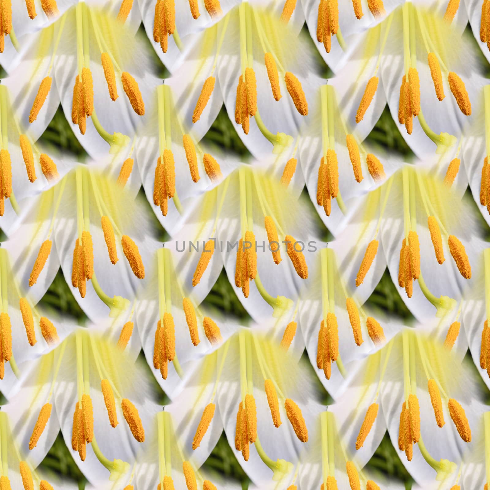 Seamless abstract springtime, summer natural background of blooming lilies