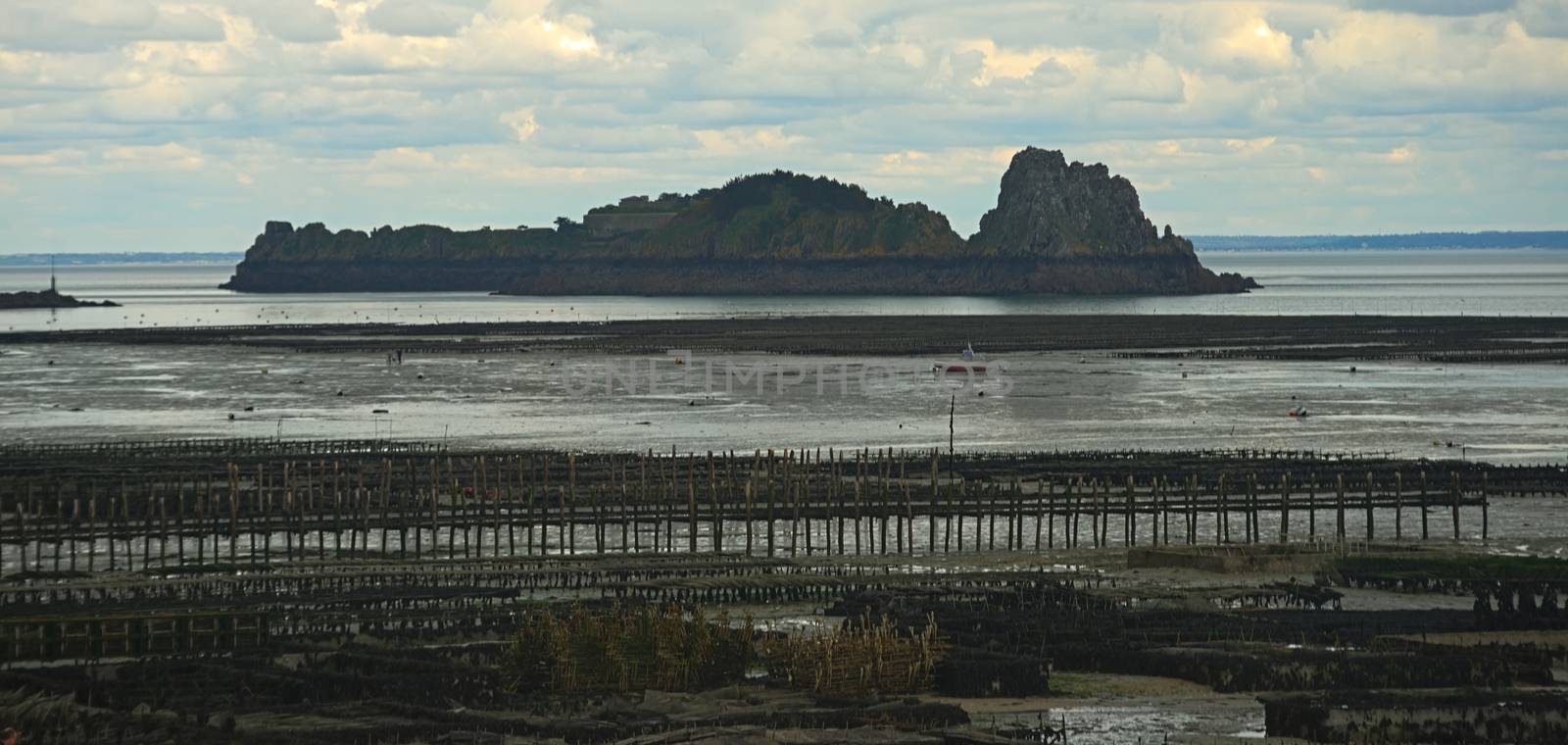 Oyster farm at Atlantic ocean shore and small islet at Cancale, France by sheriffkule