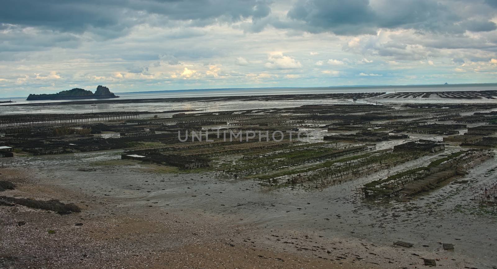 Oyster farm at Atlantic ocean shore at Cancale, France