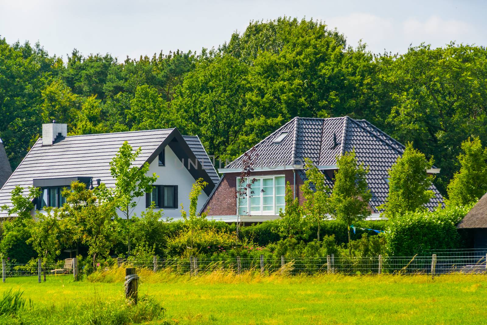 typical dutch architecture, country side houses with forest and grass pasture, Bergen op zoom, The Netherlands by charlottebleijenberg