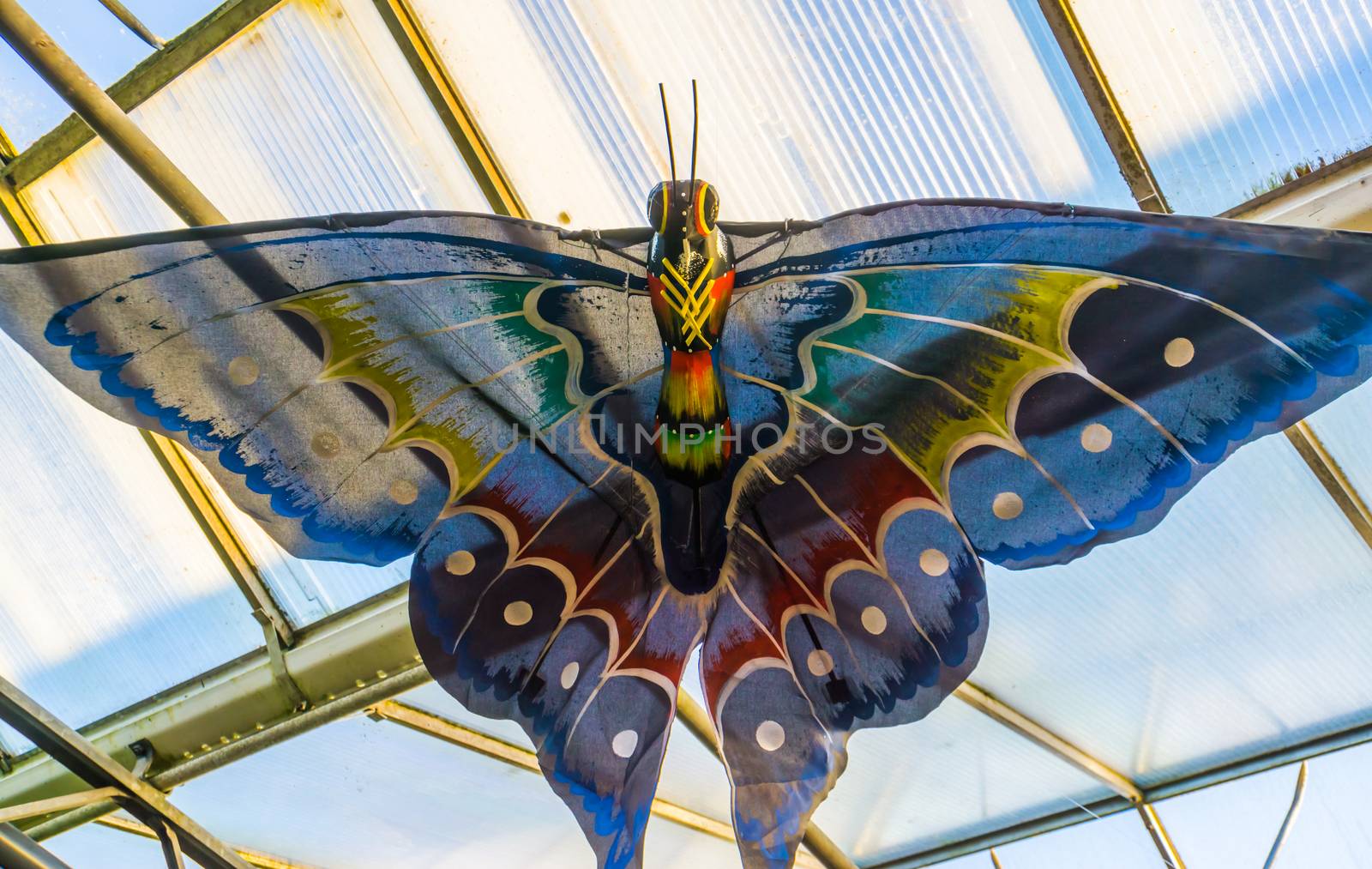 Beautiful multicolored butterfly hanging on the ceiling, creative artwork