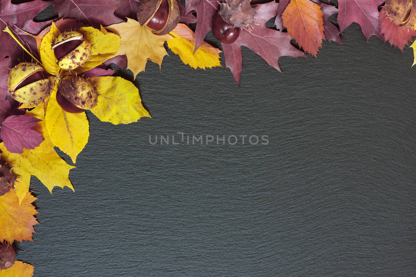 Fall frame from red and yellow autumn leaves on a background of black stone with copy-space