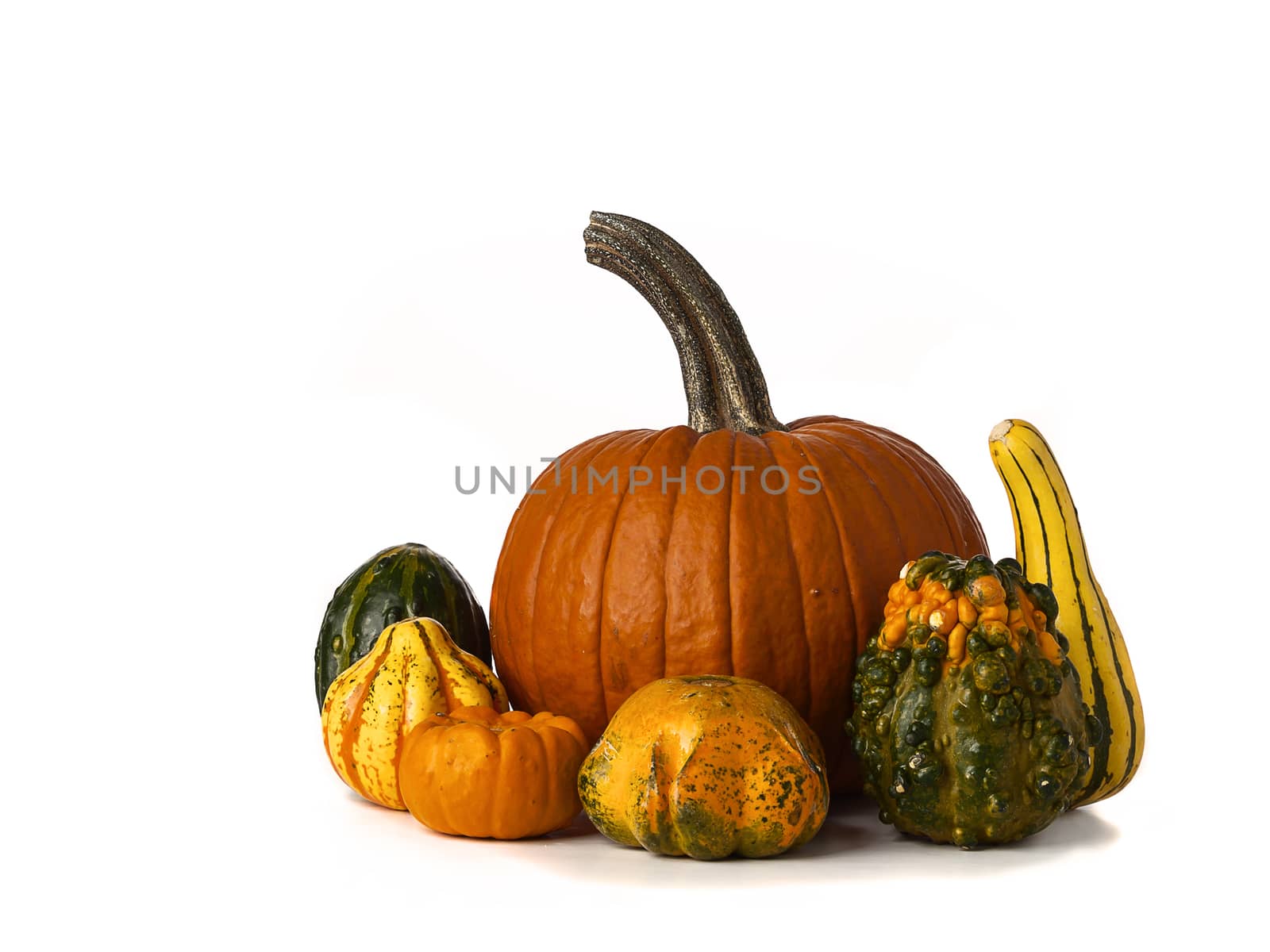 Pile of orange and green pumpkins isolated on white background